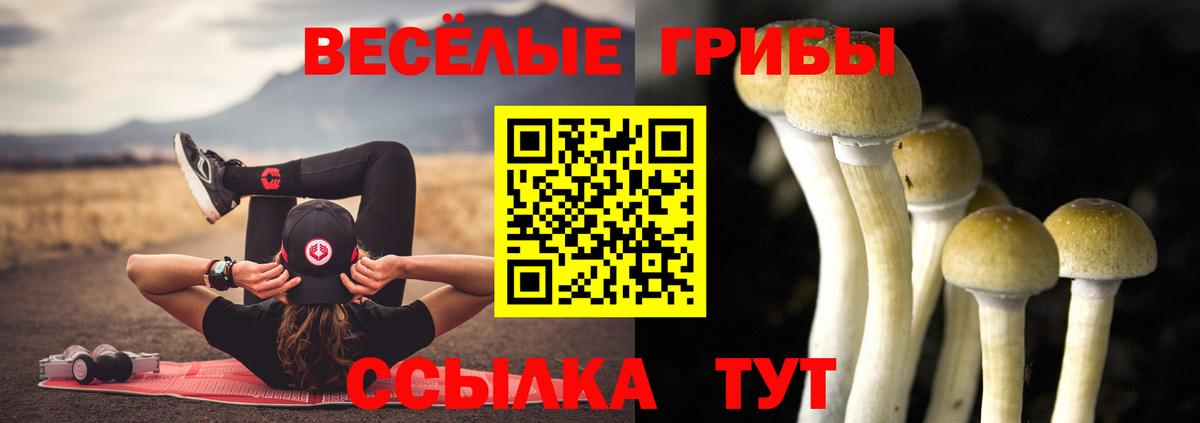 Псилоцибиновые грибы Psilocybe Крымск